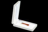 Ruby Red Dinosaur Bone (Gembone) Axe Pendant #146259-3